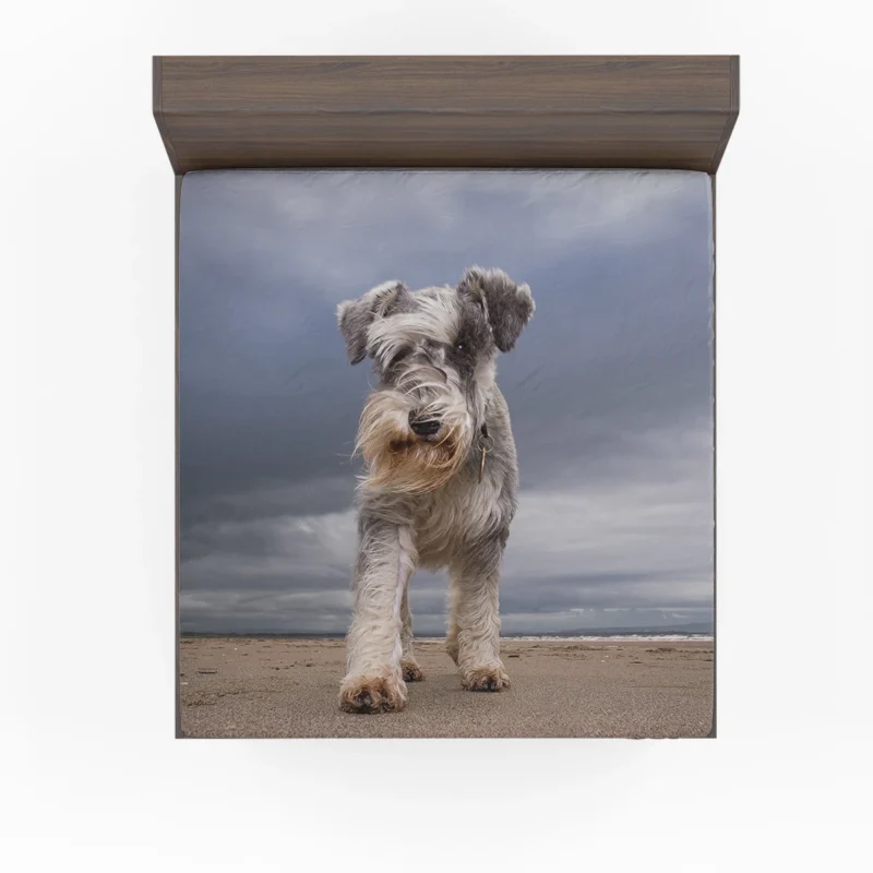 Schnauzer Quartet in Sand with Clouds Fitted Sheet