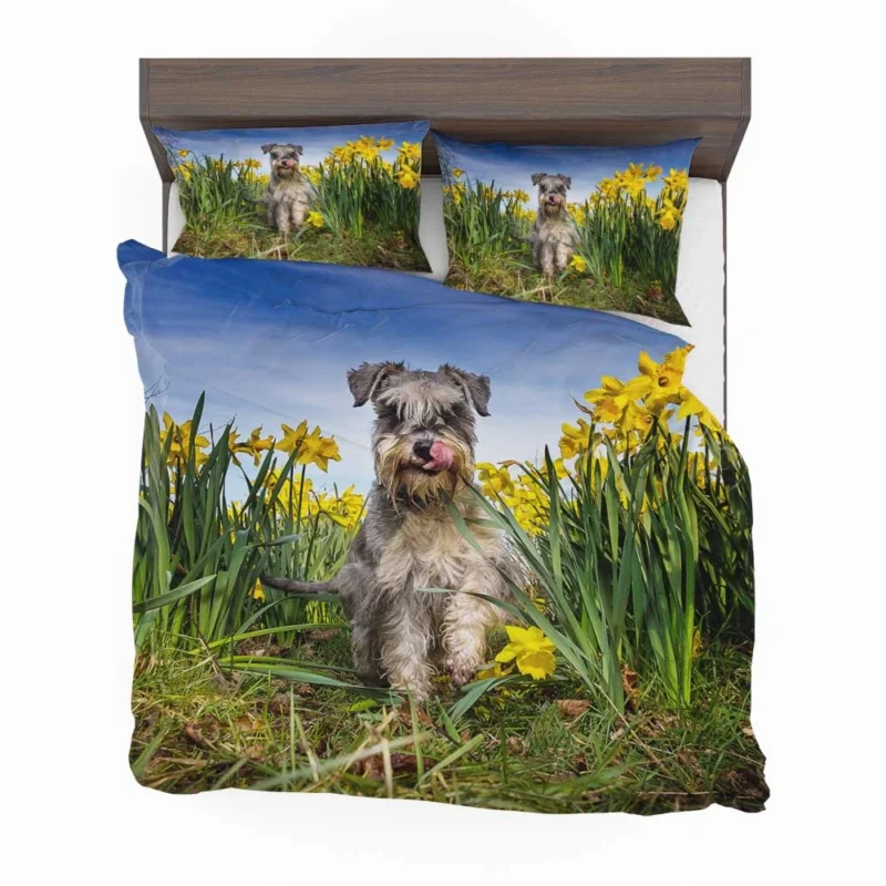 Schnauzer Quartet with Daffodils Bedding Set 1