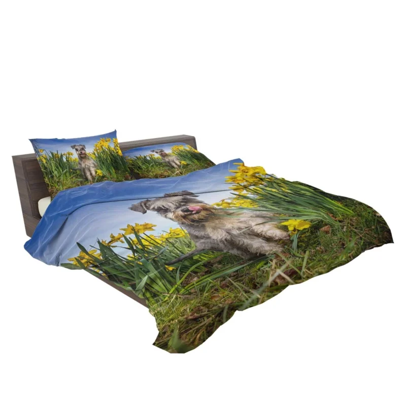 Schnauzer Quartet with Daffodils Bedding Set 2