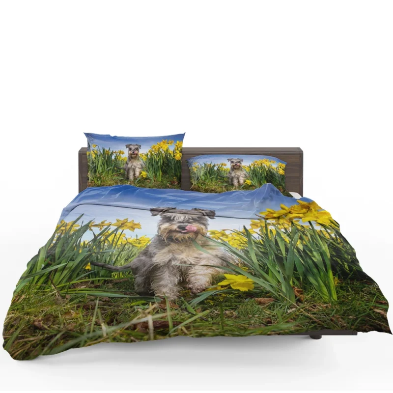 Schnauzer Quartet with Daffodils Bedding Set