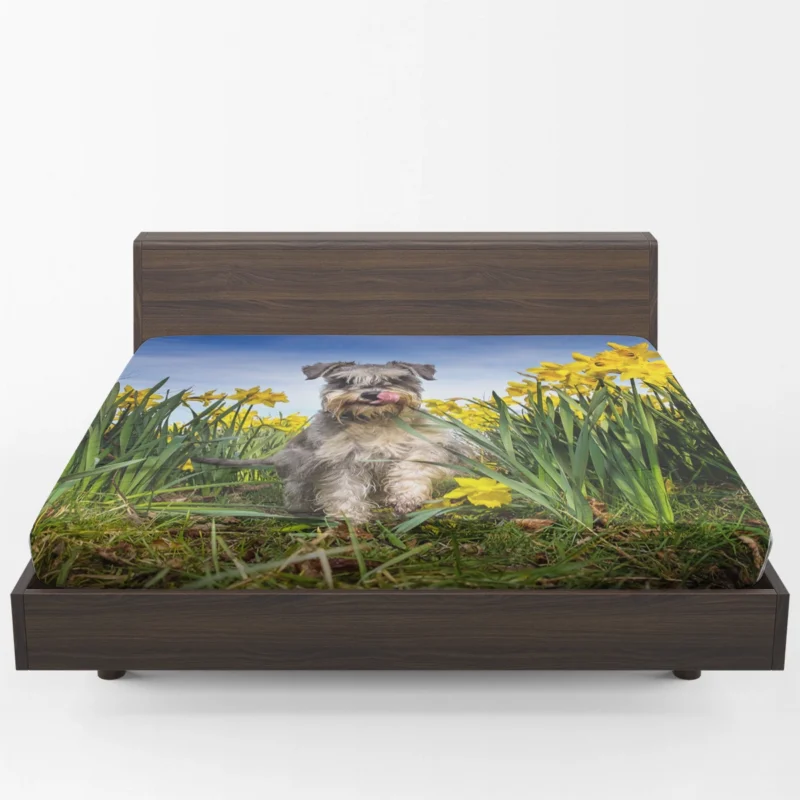 Schnauzer Quartet with Daffodils Fitted Sheet 1