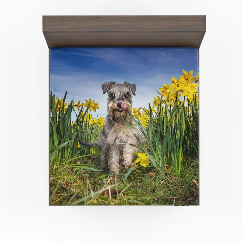 Schnauzer Quartet with Daffodils Fitted Sheet