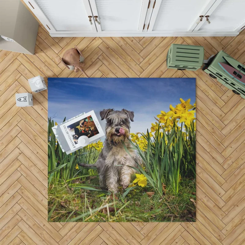 Schnauzer Quartet with Daffodils Floor Rug