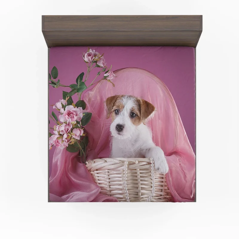 Sensational Sealyham Terrier Quartet Fitted Sheet