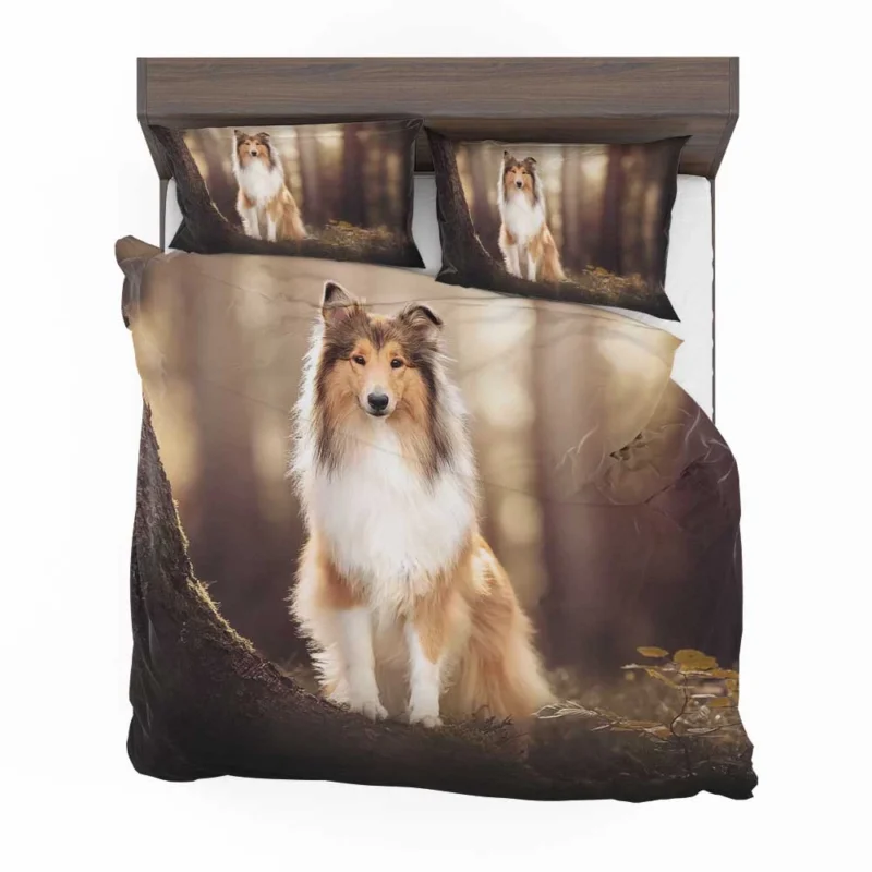 Serene Setting: Shetland Sheepdog Quartet Bedding Set 1