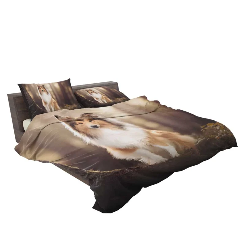 Serene Setting: Shetland Sheepdog Quartet Bedding Set 2