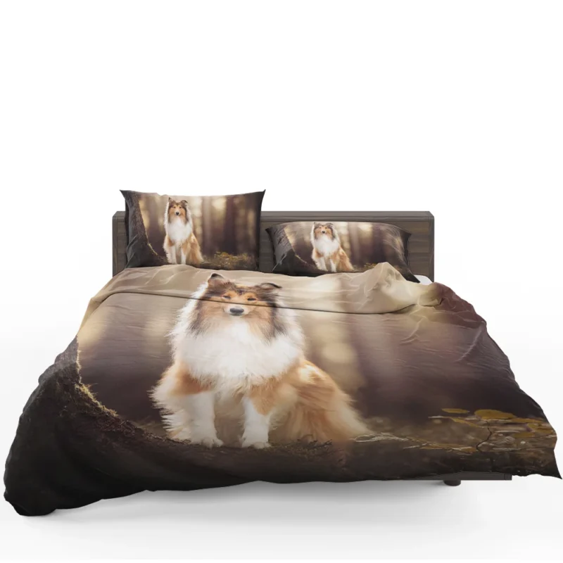 Serene Setting: Shetland Sheepdog Quartet Bedding Set