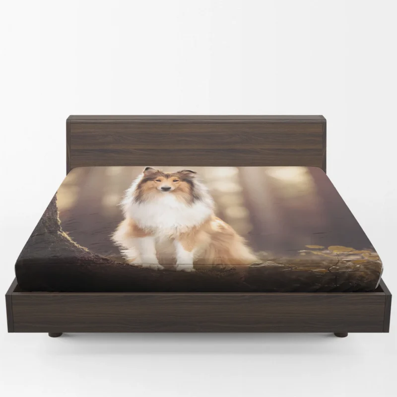 Serene Setting: Shetland Sheepdog Quartet Fitted Sheet 1