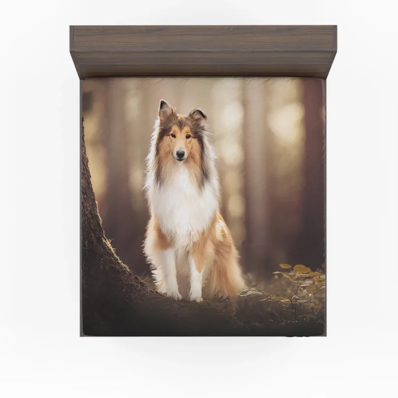 Serene Setting: Shetland Sheepdog Quartet Fitted Sheet