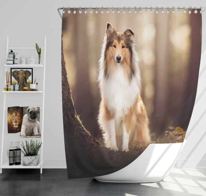 Serene Setting: Shetland Sheepdog Quartet Shower Curtain