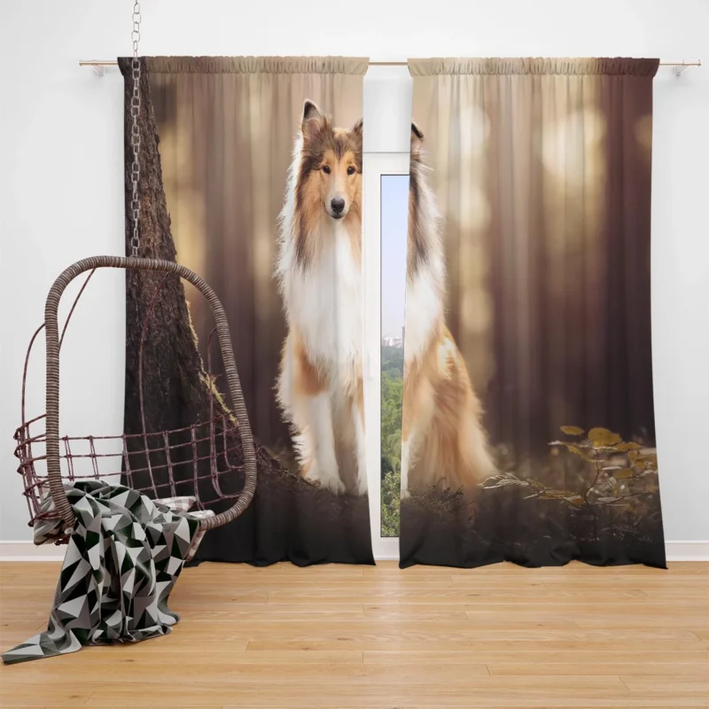 Serene Setting: Shetland Sheepdog Quartet Window Curtain