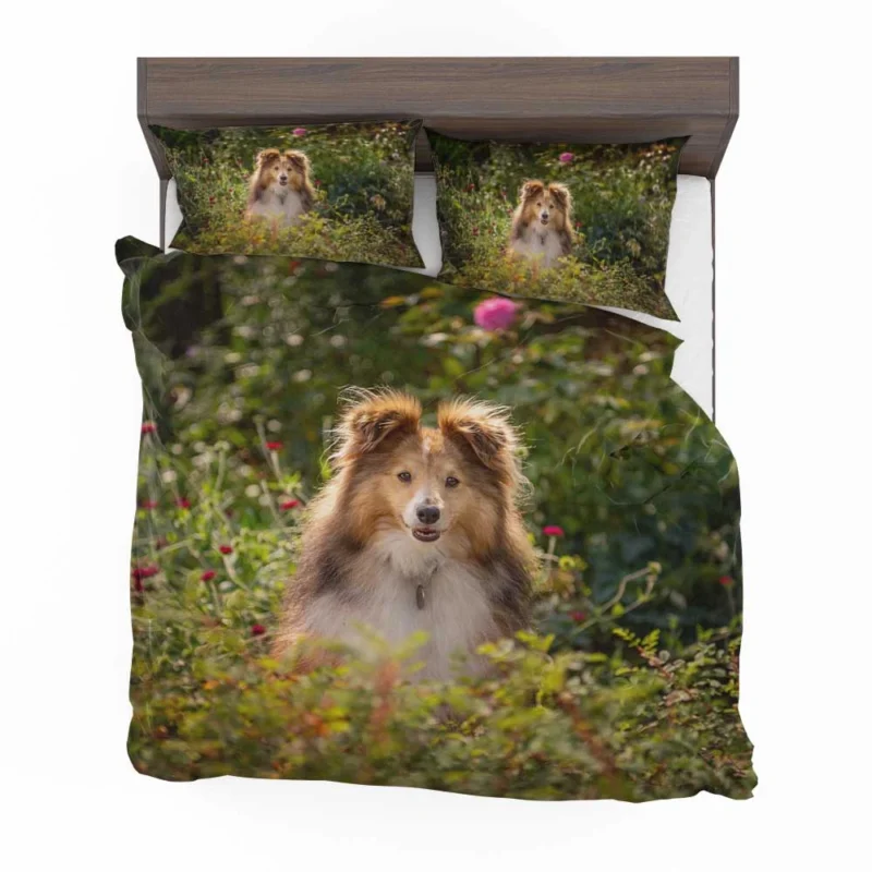 Serene Shetland Sheepdog Assembly: Quartet Bedding Set 1