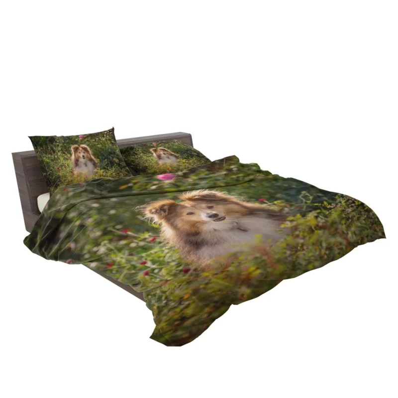 Serene Shetland Sheepdog Assembly: Quartet Bedding Set 2