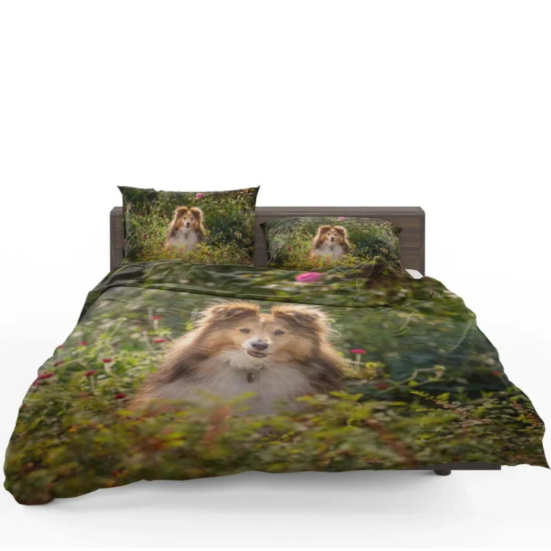 Serene Shetland Sheepdog Assembly: Quartet Bedding Set