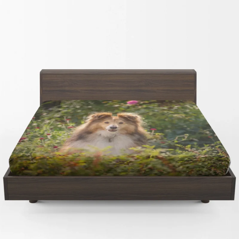 Serene Shetland Sheepdog Assembly: Quartet Fitted Sheet 1