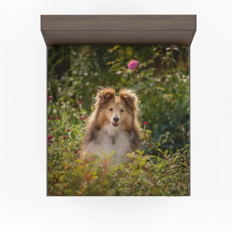 Serene Shetland Sheepdog Assembly: Quartet Fitted Sheet