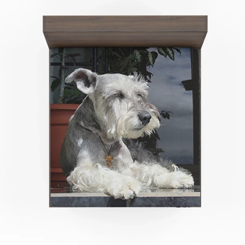 Silver and Grey Schnauzer Quartet Fitted Sheet