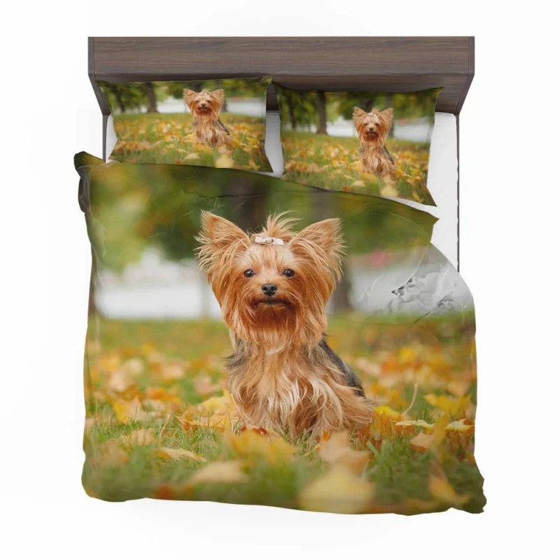 Simply Charming: Cute Yorkshire Terrier Quartet Bedding Set 1