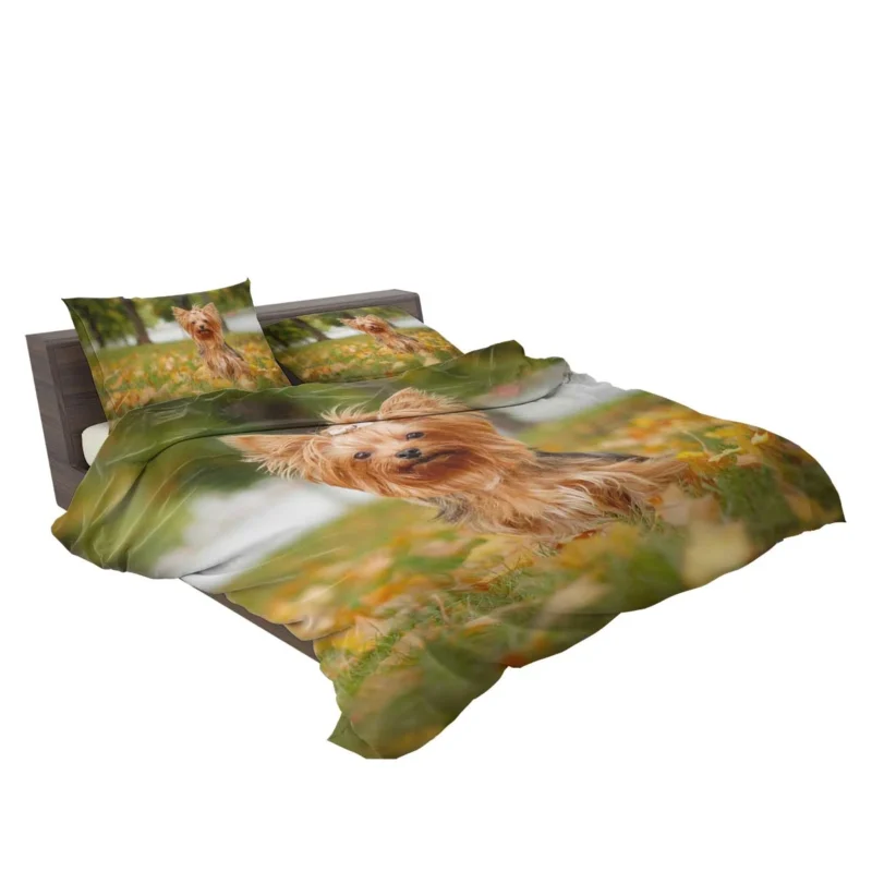 Simply Charming: Cute Yorkshire Terrier Quartet Bedding Set 2