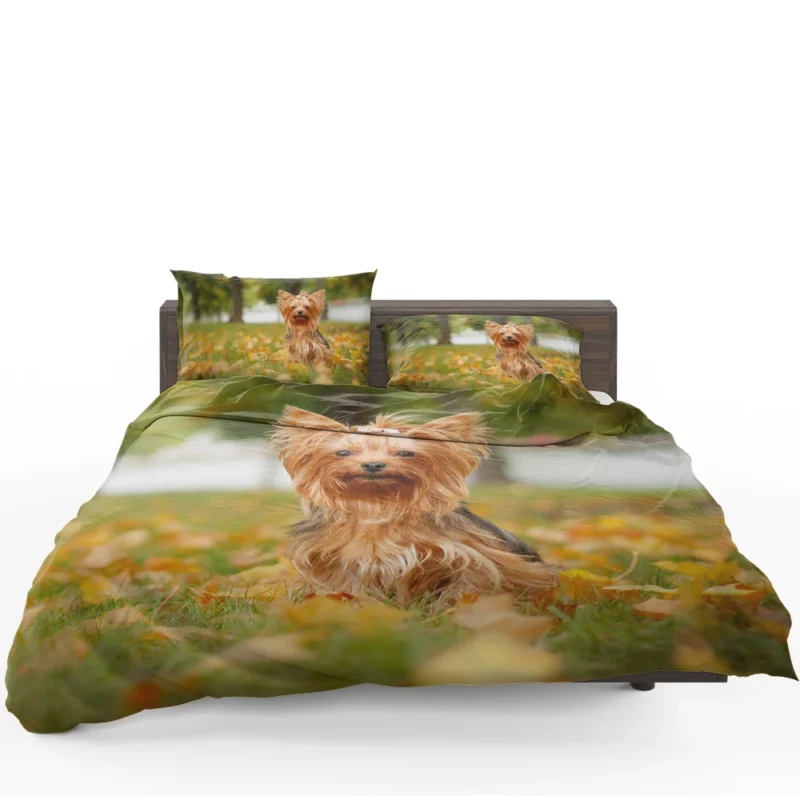 Simply Charming: Cute Yorkshire Terrier Quartet Bedding Set