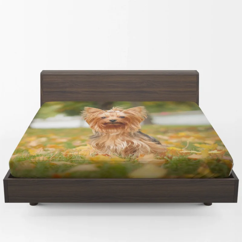 Simply Charming: Cute Yorkshire Terrier Quartet Fitted Sheet 1