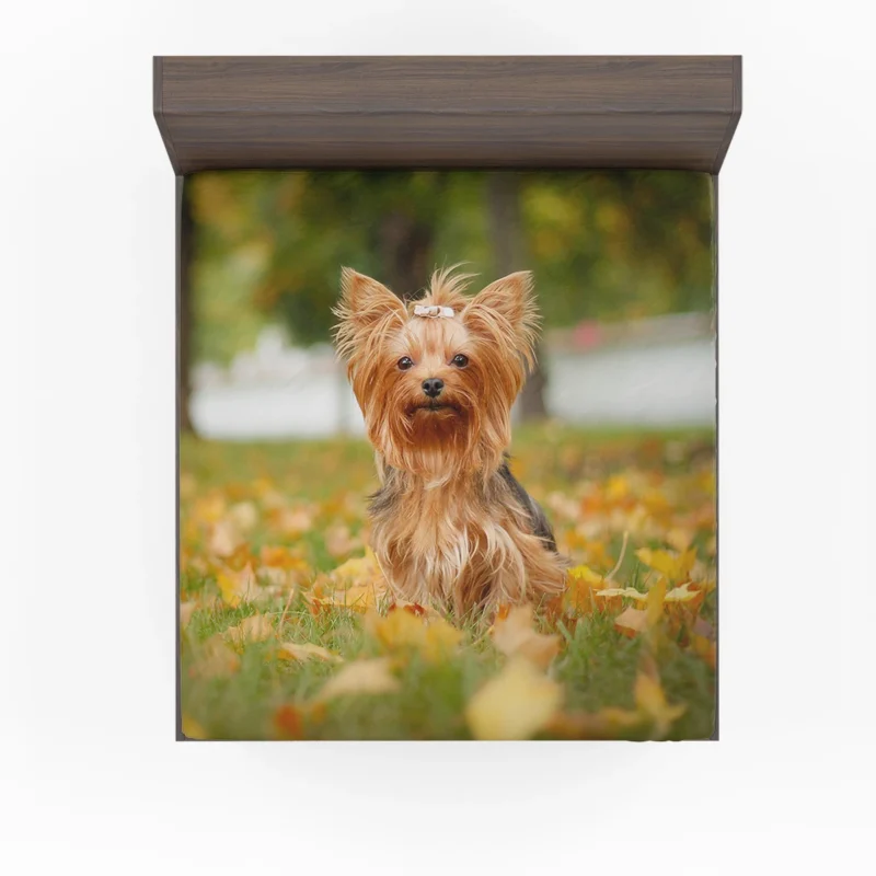 Simply Charming: Cute Yorkshire Terrier Quartet Fitted Sheet