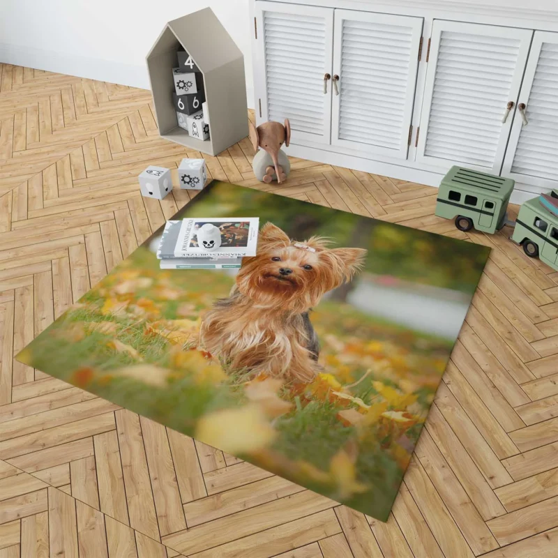 Simply Charming: Cute Yorkshire Terrier Quartet Floor Rug 1