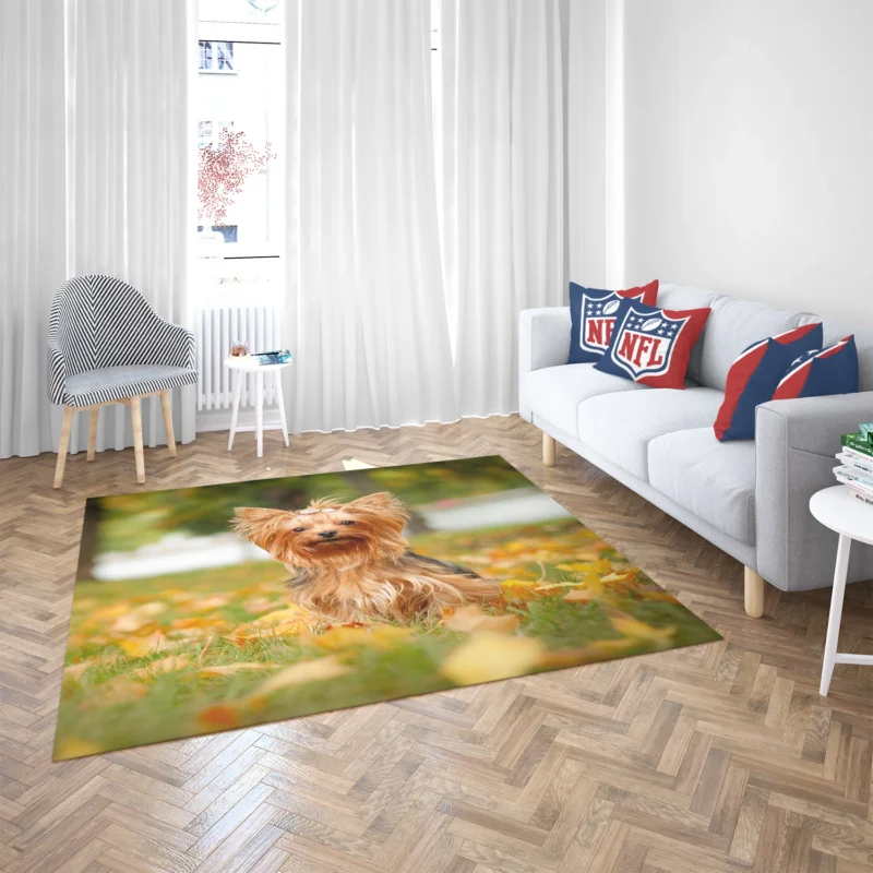 Simply Charming: Cute Yorkshire Terrier Quartet Floor Rug 2