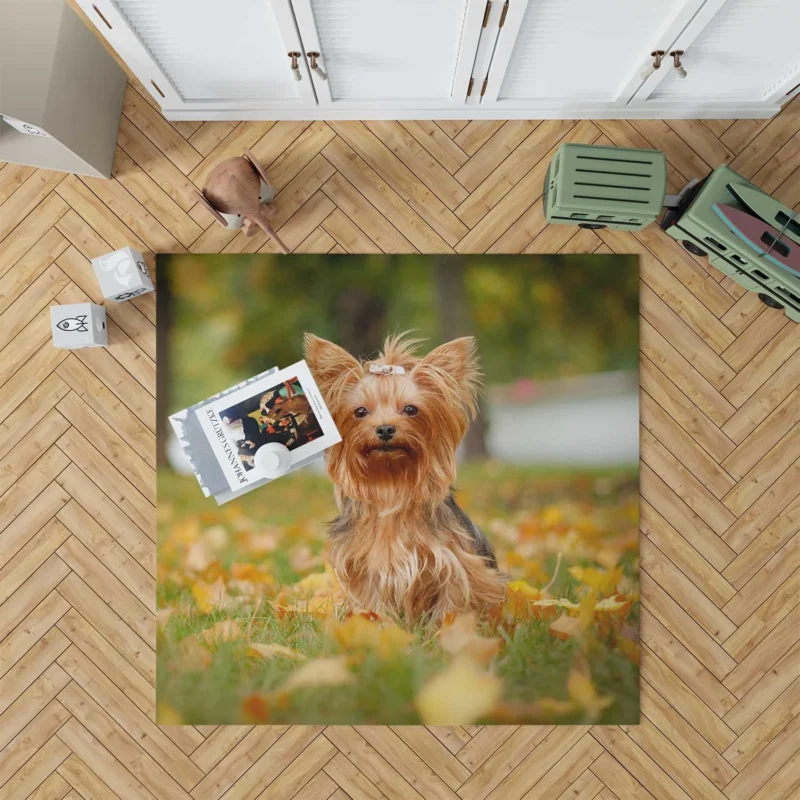 Simply Charming: Cute Yorkshire Terrier Quartet Floor Rug