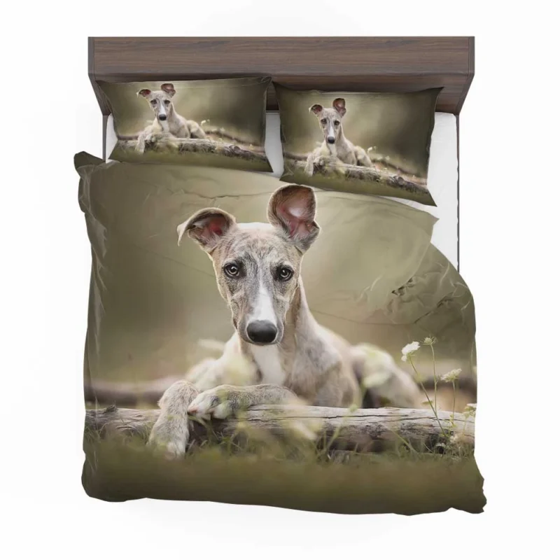 Sleek and Swift Beauties: Whippet Quartet Bedding Set 1