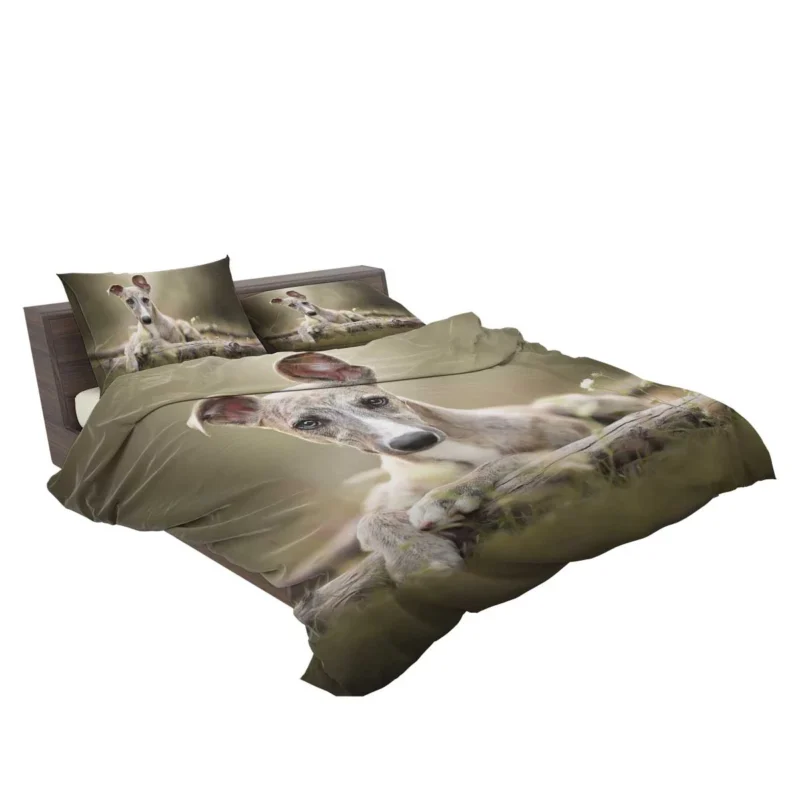 Sleek and Swift Beauties: Whippet Quartet Bedding Set 2