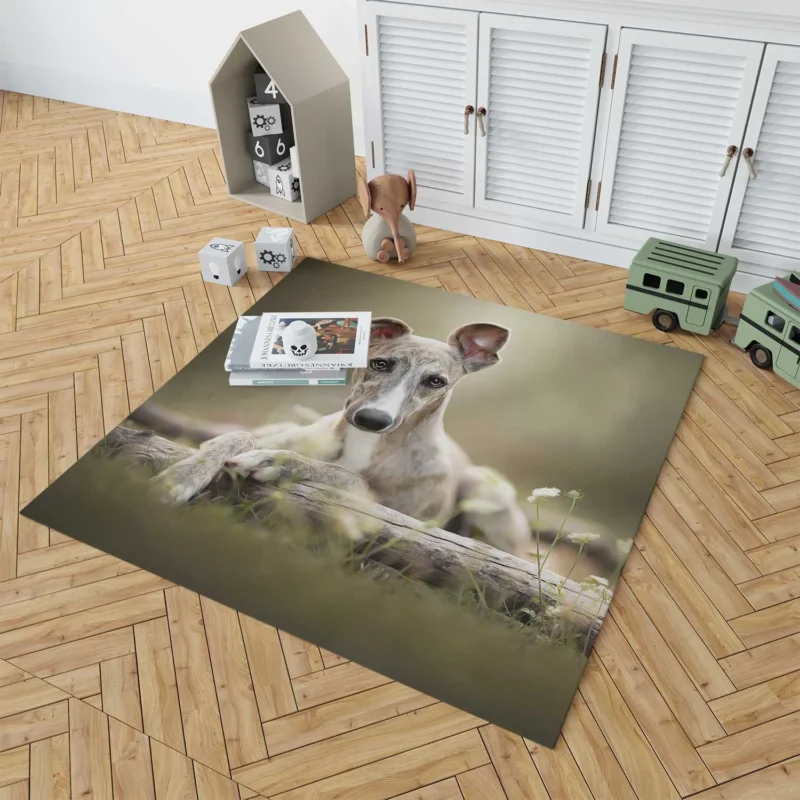 Sleek and Swift Beauties: Whippet Quartet Floor Rug 1