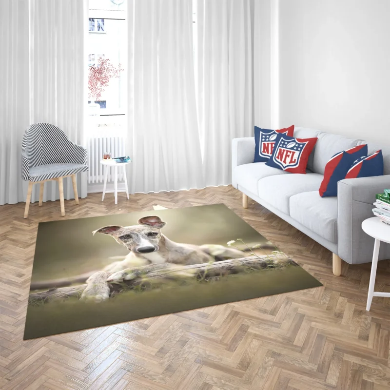 Sleek and Swift Beauties: Whippet Quartet Floor Rug 2