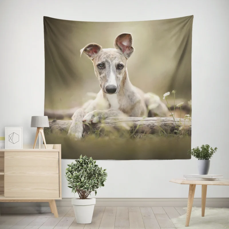 Sleek and Swift Beauties  Whippet Quartet Wall Tapestry