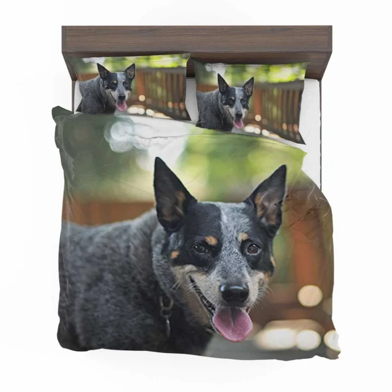 Smart and Alert Canines: Australian Cattle Dog Bedding Set 1