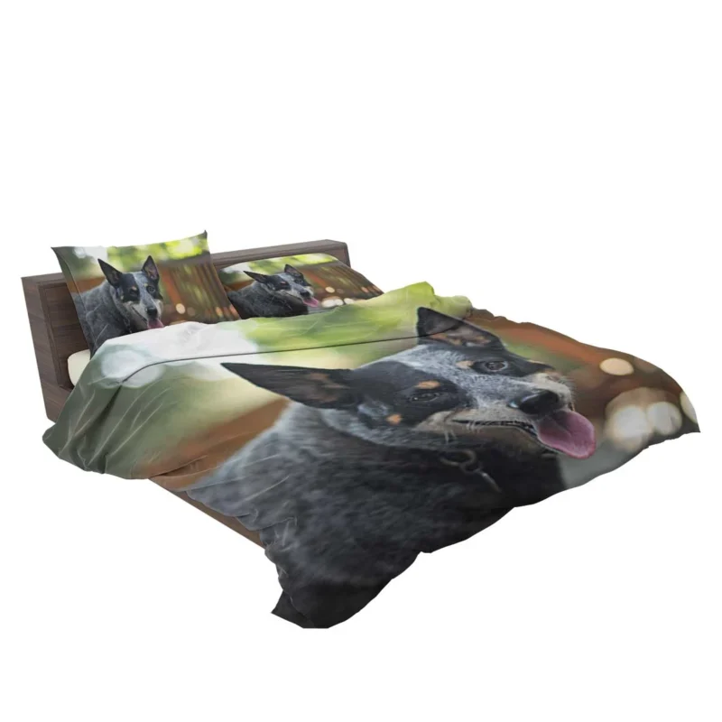 Smart and Alert Canines: Australian Cattle Dog Bedding Set 2