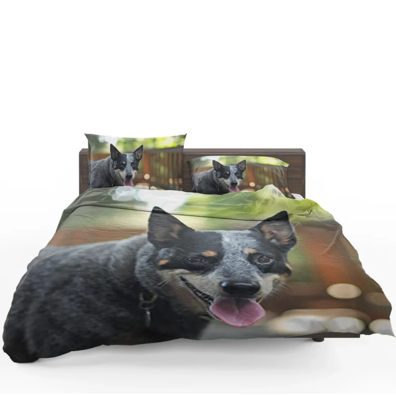 Smart and Alert Canines: Australian Cattle Dog Bedding Set