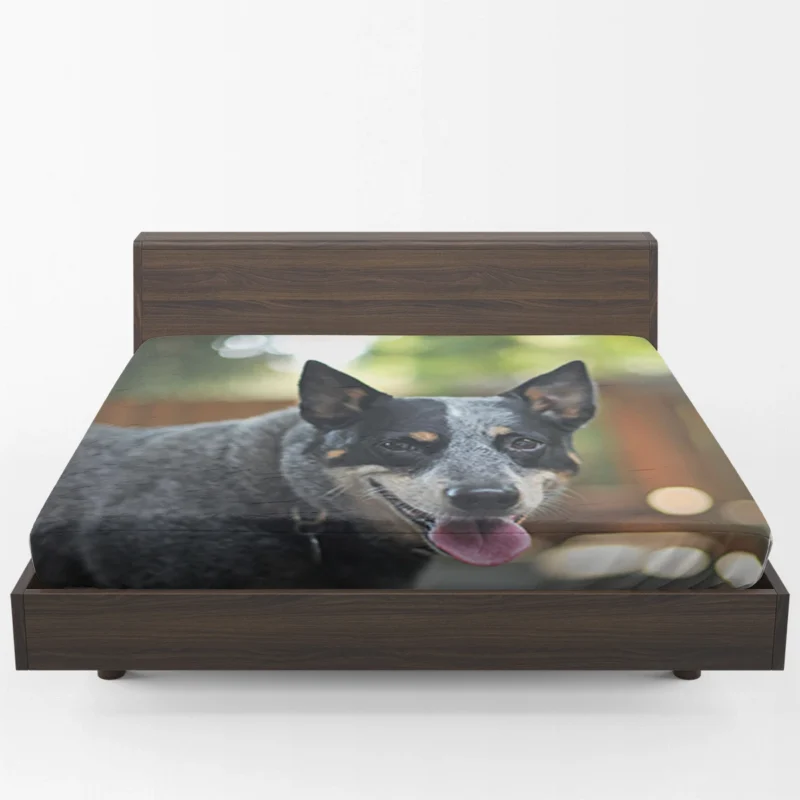 Smart and Alert Canines: Australian Cattle Dog Fitted Sheet 1