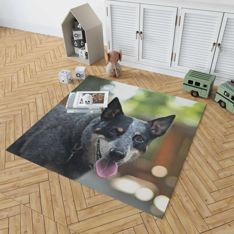 Smart and Alert Canines: Australian Cattle Dog Floor Rug 1