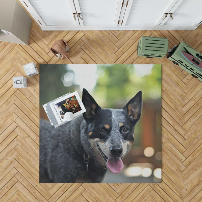 Smart and Alert Canines: Australian Cattle Dog Floor Rug