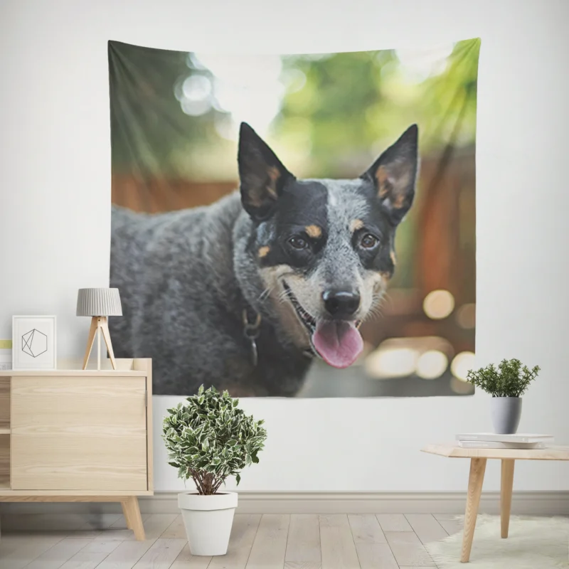 Smart and Alert Canines  Australian Cattle Dog Wall Tapestry