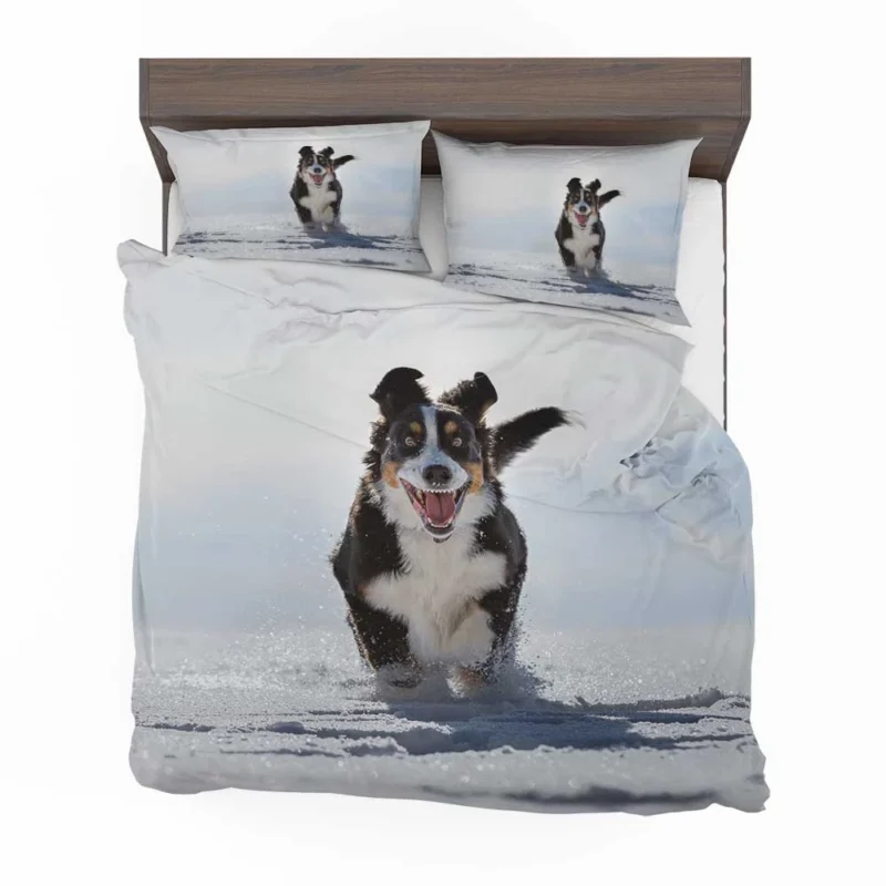 Snow Beauty with Sennenhund and Depth Of Field: Bernese Mountain Dog Bedding Set 1