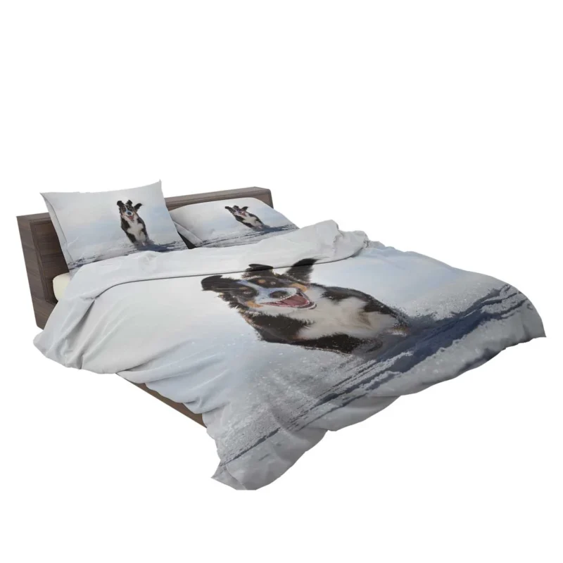 Snow Beauty with Sennenhund and Depth Of Field: Bernese Mountain Dog Bedding Set 2