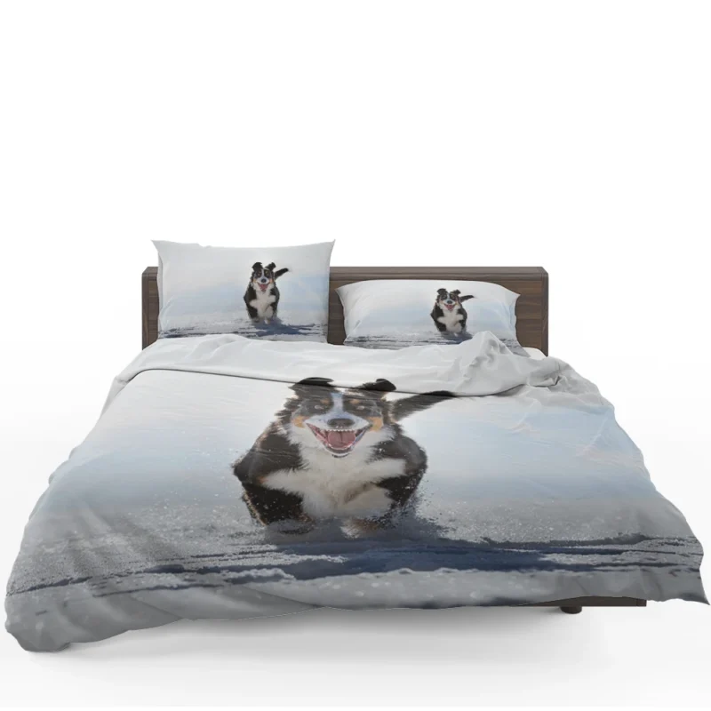 Snow Beauty with Sennenhund and Depth Of Field: Bernese Mountain Dog Bedding Set