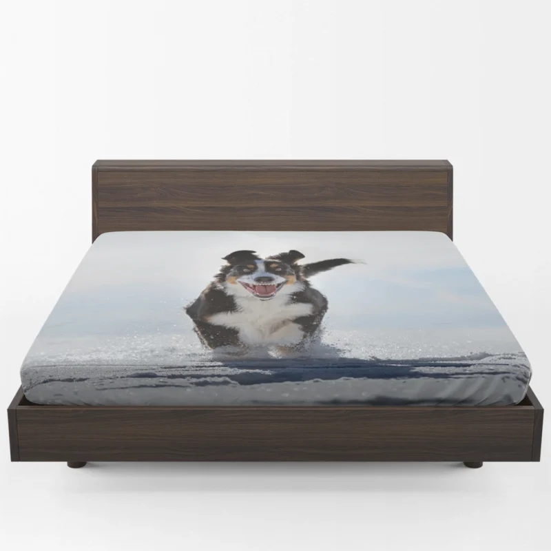 Snow Beauty with Sennenhund and Depth Of Field: Bernese Mountain Dog Fitted Sheet 1