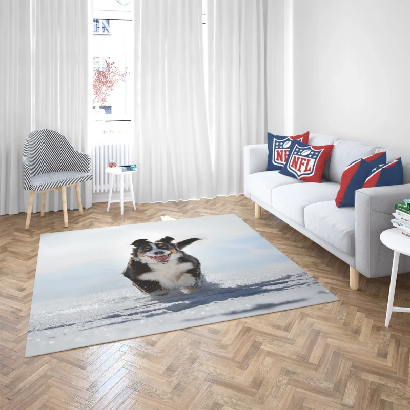 Snow Beauty with Sennenhund and Depth Of Field: Bernese Mountain Dog Floor Rug 2