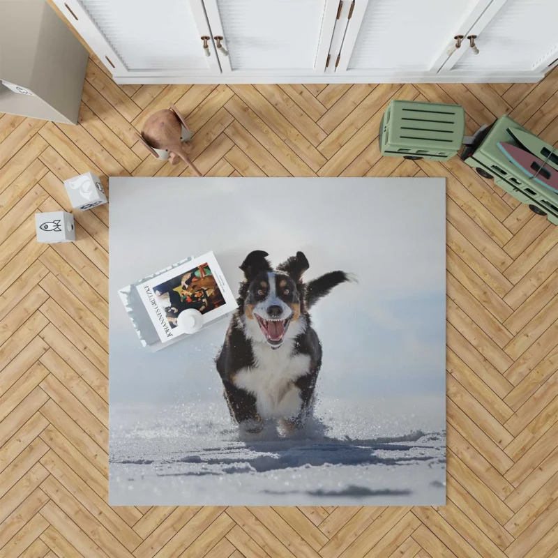 Snow Beauty with Sennenhund and Depth Of Field: Bernese Mountain Dog Floor Rug