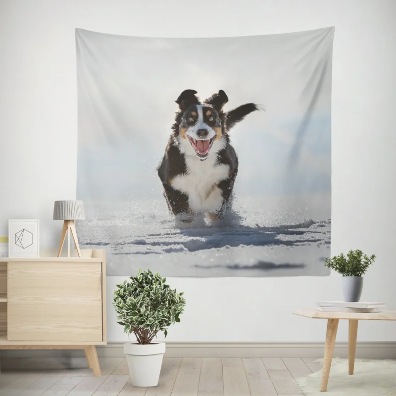 Snow Beauty with Sennenhund and Depth Of Field  Bernese Mountain Dog Wall Tapestry