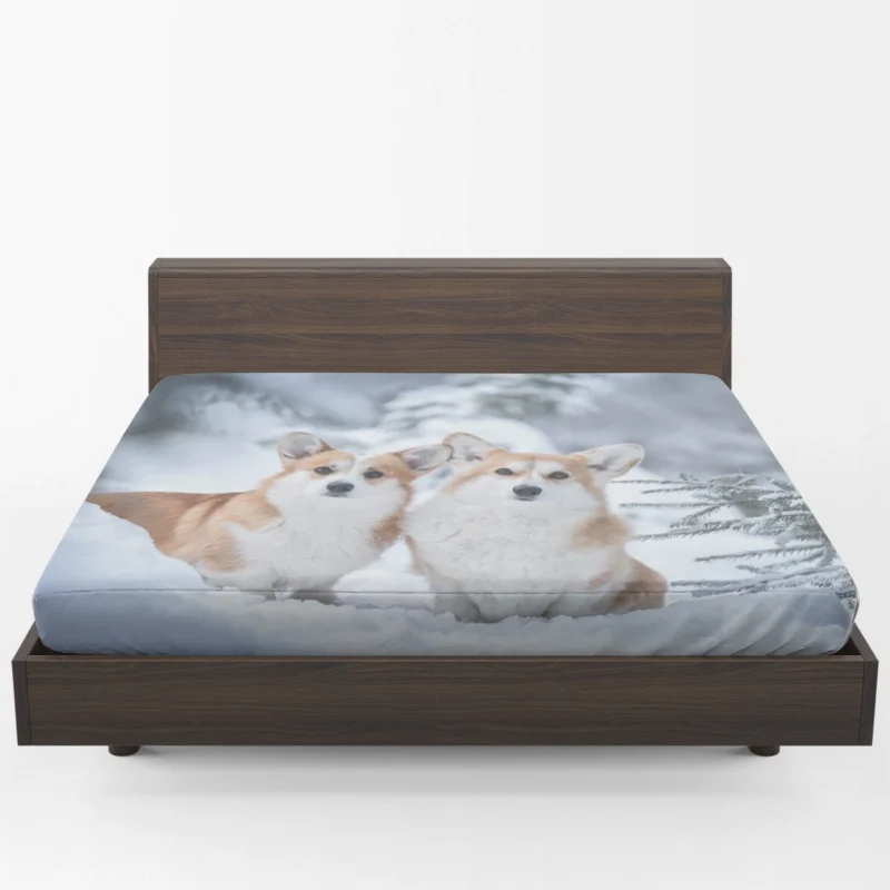 Snow Frolic: Corgi Quartet Fitted Sheet 1