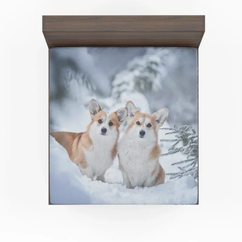 Snow Frolic: Corgi Quartet Fitted Sheet